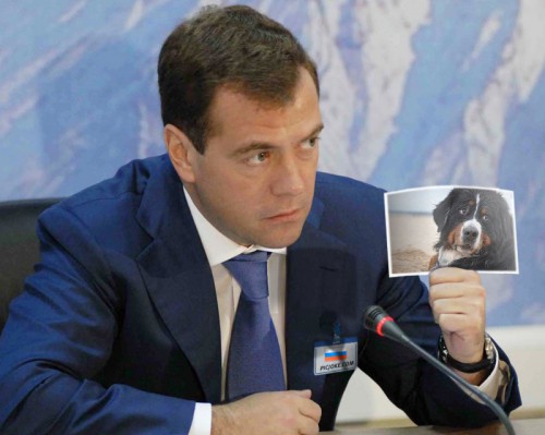 -МЕДВЕДЕВ.jpg