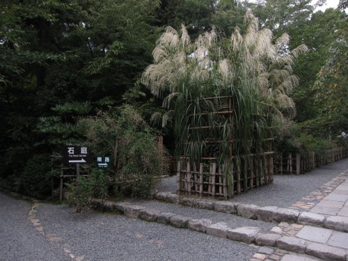 Rock garden 7.jpg
