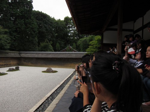 Rock garden 4.jpg