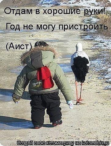 mAxn8XAl8z4.jpg