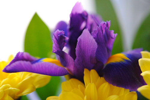 0_72f9f_2836577c_L.jpg
