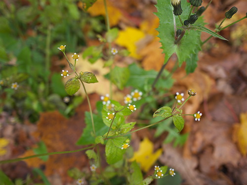 0_84823_62573d31_L.jpg