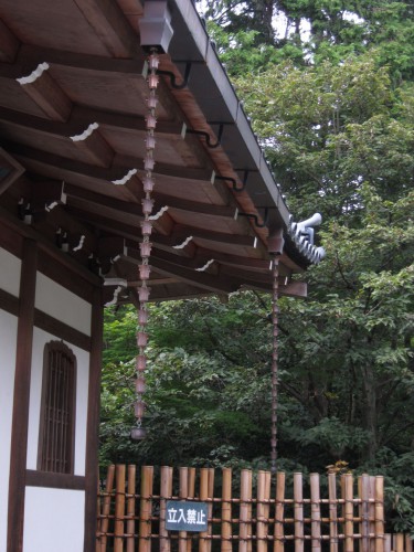 Rock garden 1.jpg