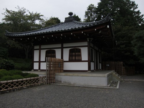 Rock garden 8.jpg