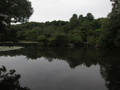 Rock garden lake 2.jpg
