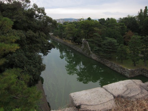 Shogun garden 2.jpg