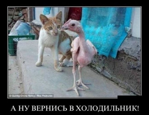_var_www_s1_temp_12_293_18_3wAUeSdIHXCf.jpg