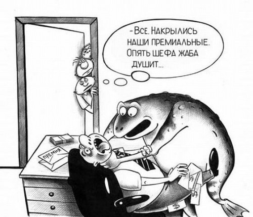 жаба.jpg
