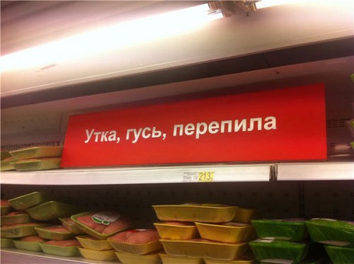 утка.jpg