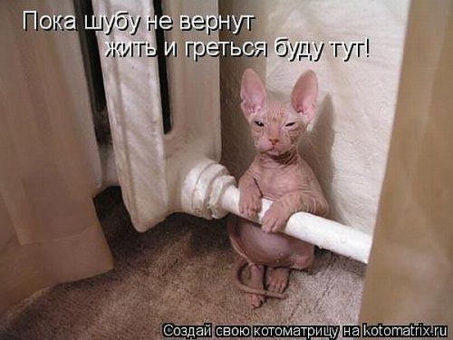 сфинкс.jpg
