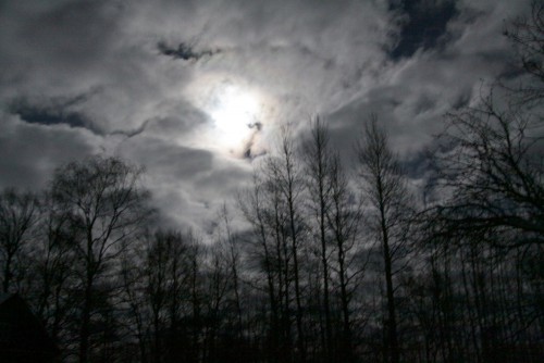 IMG_7623_2.jpg