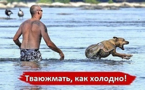 вода.jpg