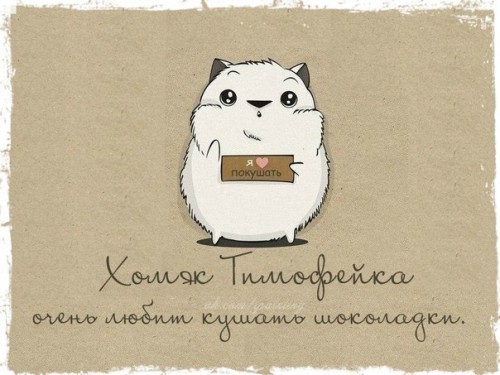 cGtjvWimAwg-ХОМЯК ТИМОФЕЙКА.jpg