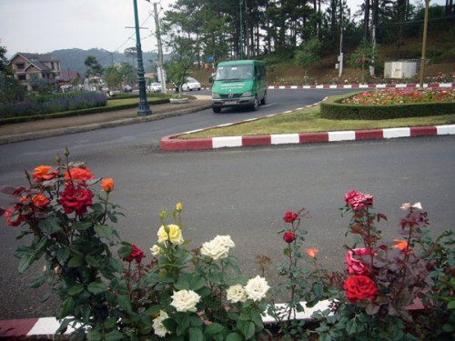flowers-along-the-road-to-Dalat.jpg