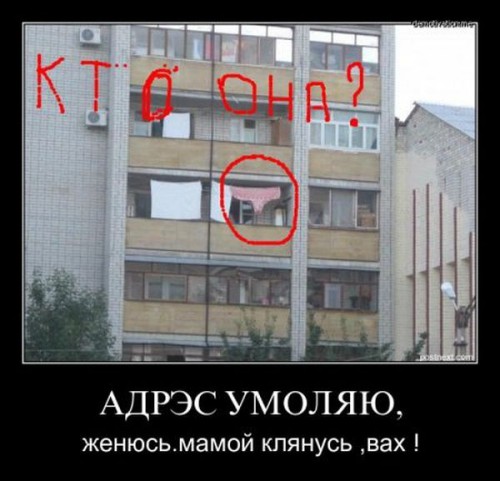 original13.jpg
