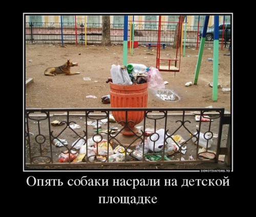 xdG5ROqA8RE-ОПЯТЬ СОБАКИ ВИНОВАТЫ.jpg