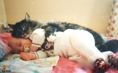кот+реб.jpg