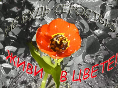 ПРиродакопирование.jpg