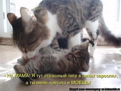 -Я ТИГР!.jpg