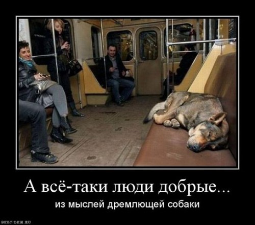 getImage МЕТРО.jpg