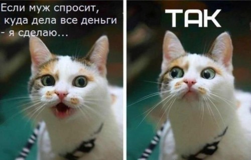 Куда дела все деньги.jpg