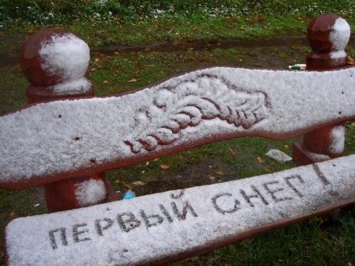 1768.jpg