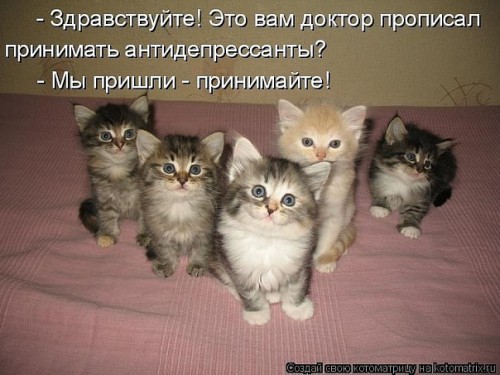 x_253d8036.jpg