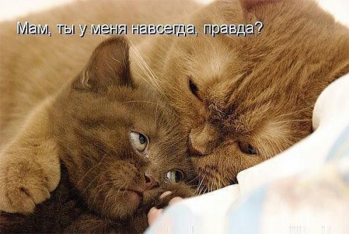 getImage-МАМА НАВСЕГДА!.jpg