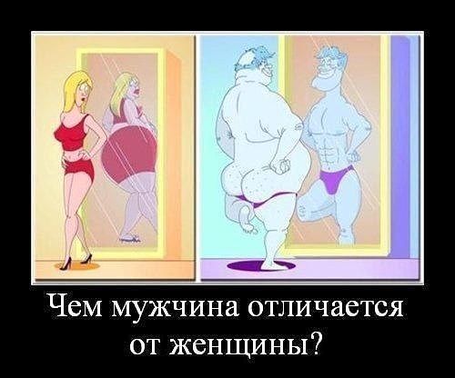 мж.jpg