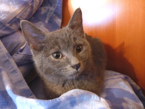 02122012_жж.JPG