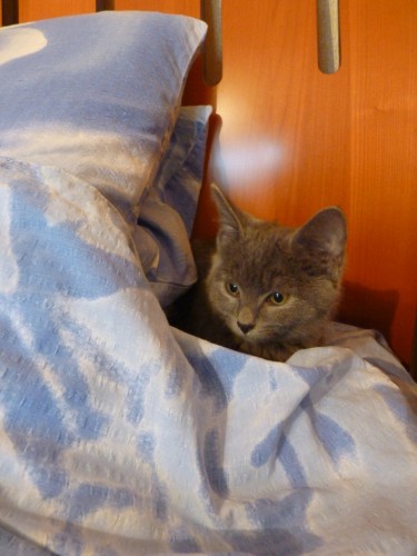 02122012_жж1.JPG