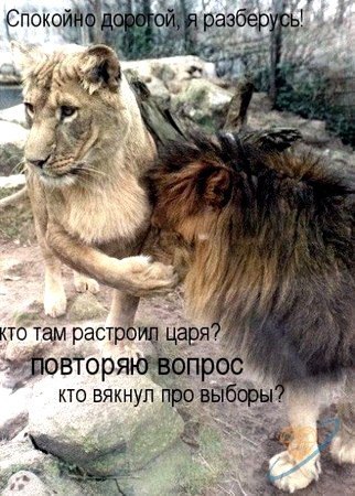 CLJZ6SG68Yg-КТО РАСТРОИЛ ЦАРЯ.jpg