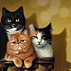 котики.gif