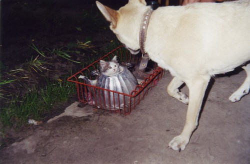 original12.jpg