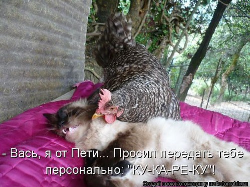 getImagОТ ПЕТИ.jpg