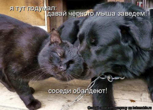 yqx_FzddFyQ-ЧЕРНЫШИ.jpg