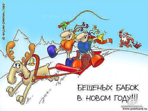 бабок.jpg