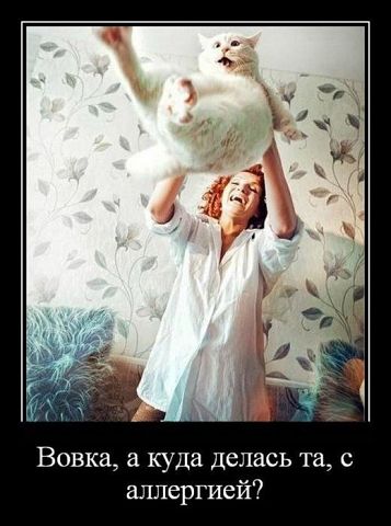 алл.jpg