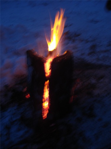 07.jpg