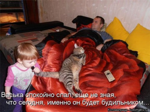 8b1ba5ef32d3.jpg