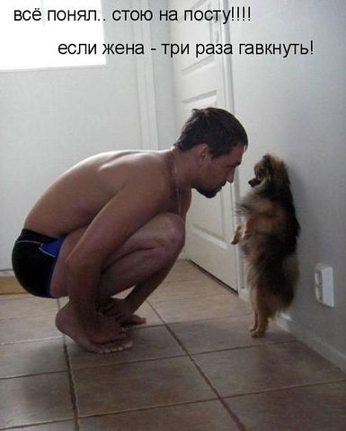 getImage.jpeg
