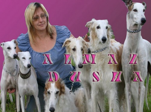 питомник АЛМАЗ ДУША