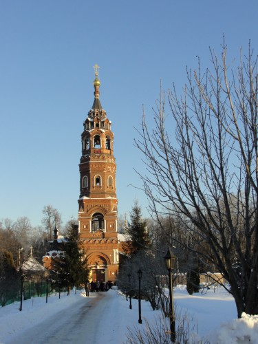 DSC07377-1.JPG