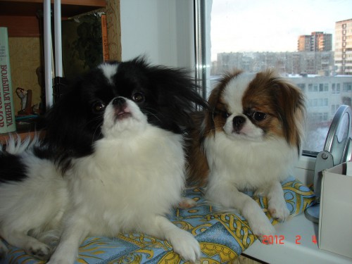 DSC09016д.jpg