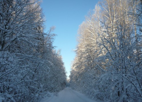 В снежную даль.