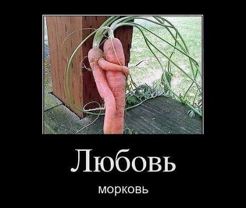 getImage-МОРКОВЬ.jpg