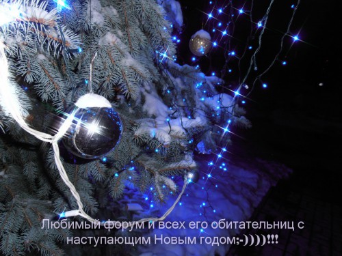 P1010033_новый размер.JPG