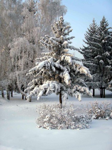 Зима 01.jpg