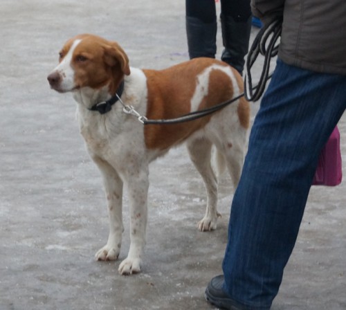 DSC03001=1_cr.jpg