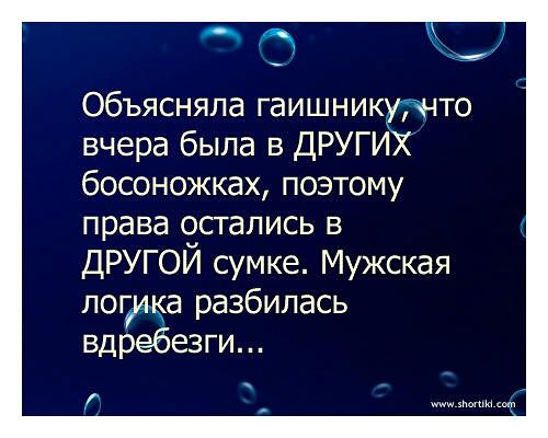 гаи.jpg